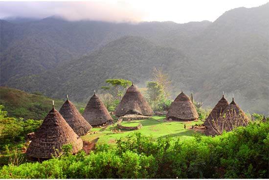 Destinasi Wisata Flores Desa Waerebo